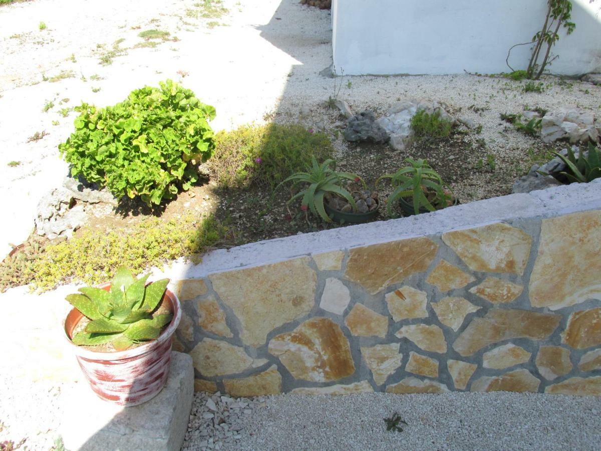 Sunny Apartman Pajdek Sevid Zewnętrze zdjęcie
